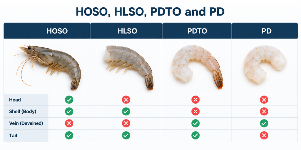 HOSO, HLSO, PDTO and PD shrimp product forms comparison